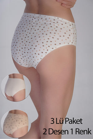 Kadın Yarım Bel Bikini Penye 3 lü Külot
