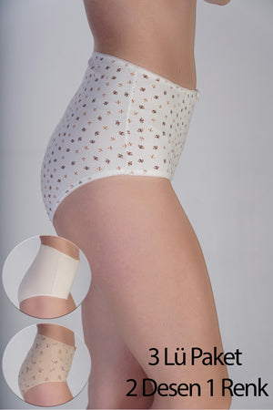 Kadın Yüksel Bel Bato Penye 3 lü Külot
