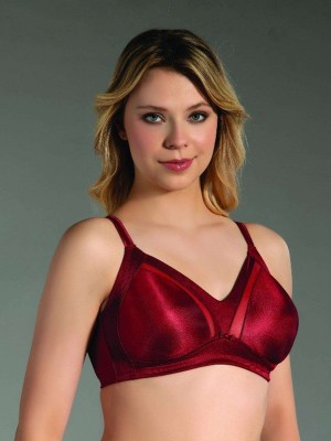 Kadın Minimizer C Cup Sütyen Kadın Minimizer C Cup Sütyen