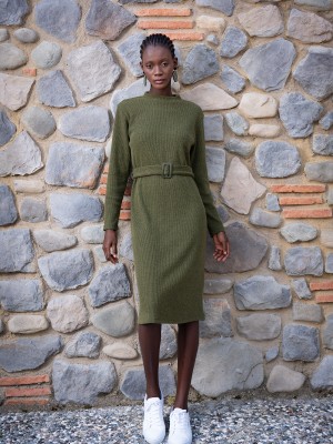 Woman Khaki Lycra Half Turtleneck Dress Woman Khaki Lycra Half Turtleneck Dress